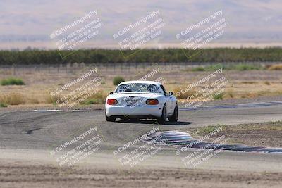 media/Oct-04-2025-OnGrid (Sat) [[44bd565ffa]]/Purple Group/Grapevine/